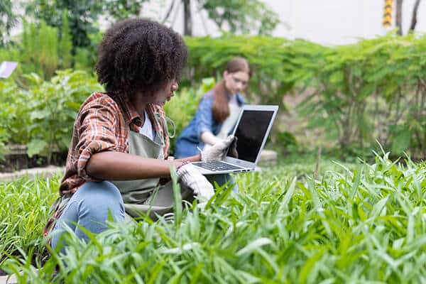 adolescent montessori student using a laptop social organization